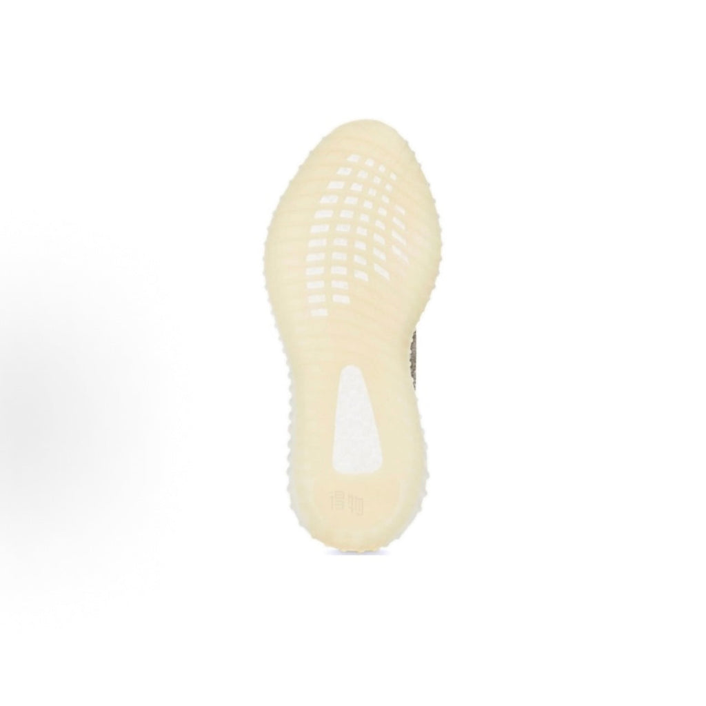 Coconut Shoes Unisex, grey